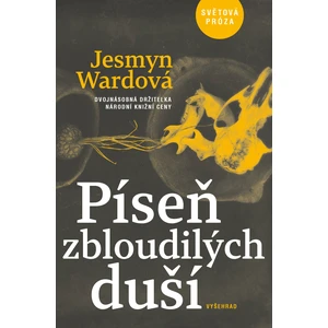 Píseň zbloudilých duší - Jesmyn Wardová