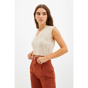 Trendyol Stone V Neck Knitwear Sweater