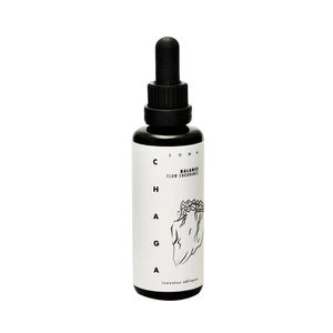 Soma Chaga soma tinktúra BIO 30 ml