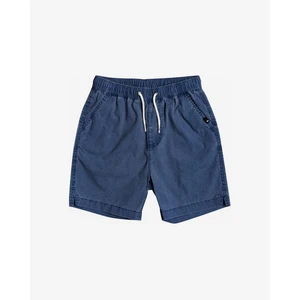 Taxer Quiksilver Shorts - Men