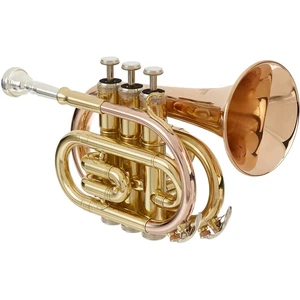 Roy Benson PT-101G Bb Trumpet