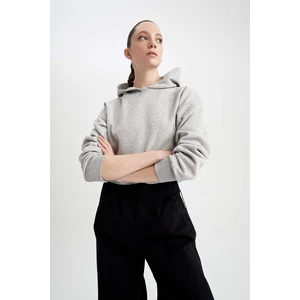 DEFACTO Crew Neck Hooded Basic Crop Sweatshirt