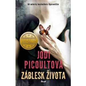 Záblesk života - Jodi Picoultová