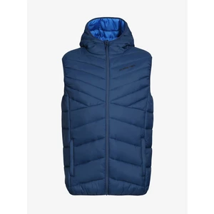 Men's vest ALPINE PRO