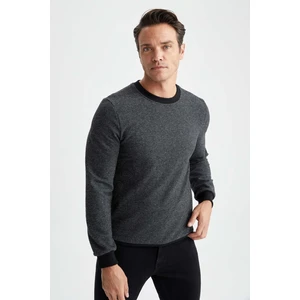 DEFACTO Regular Fit Sweatshirt