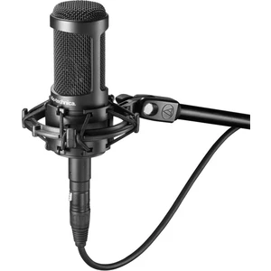 Audio-Technica AT 2050 Microfon cu condensator pentru studio