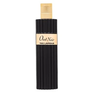 Ted Lapidus Oud Noir parfémovaná voda unisex 100 ml