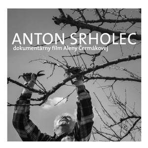 Anton Srholec Cesta, po ktorej som išiel - Srholec Anton [Médium DVD]