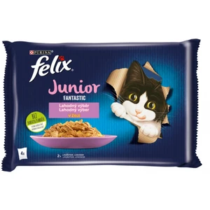 FELIX Fantastic JUNIOR Multipack 12(4x85g) - kura/losos v želé