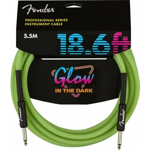 Fender Professional Glow in the Dark Vert 5,5 m Droit - Droit