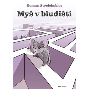 Myš v bludišti - Roman Streichsbier