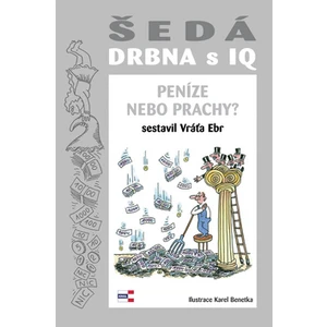 Šedá DRBNA s IQ - Vratislav Ebr