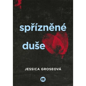 Spřízněné duše (Defekt) - Gross Jessica