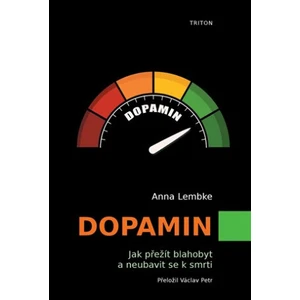 Dopamin - Anna Lembke