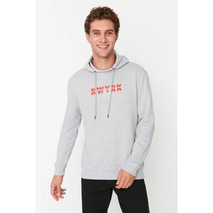 Trendyol Sweatshirt - Gray - Regular fit