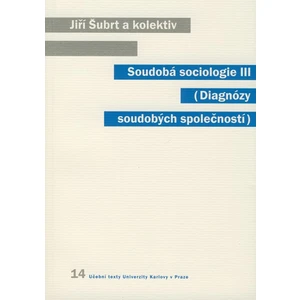 Soudobá sociologie III.