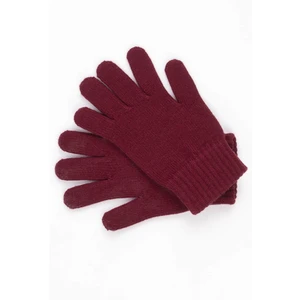 Kamea Woman's Gloves K.18.959.15