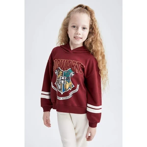 DEFACTO Regular Fit Harry Potter Licensed Sweatshirt