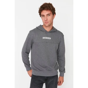 Trendyol Sweatshirt - Gray - Regular fit