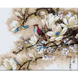 Zuty Peinture par numéros Oiseau dans les branches