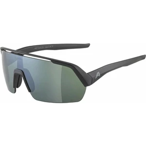 Alpina Turbo HR Q-Lite Black Matt/Silver Gafas deportivas