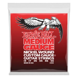 Ernie Ball 2204 Medium Nickel Wound