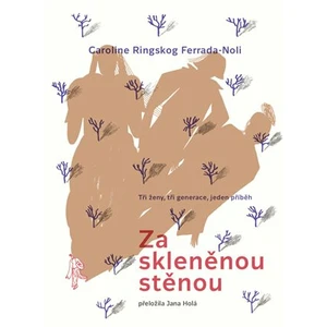 Za skleněnou stěnou - Caroline Ringskog Ferrada-Noli