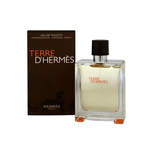 Hermès Terre d’Hermès toaletní voda pro muže 50 ml