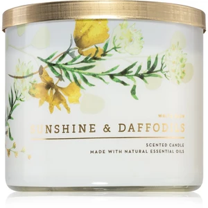 Bath & Body Works Sunshine and Daffodils vonná svíčka s esenciálními oleji 411 g