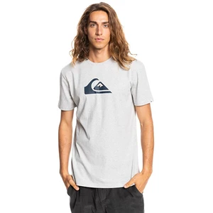 Light Grey Men's T-Shirt Quiksilver Complogoss - Men's