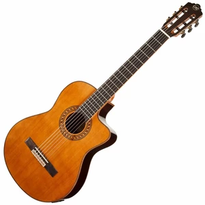 Tanglewood EM DC 5 4/4 Natural