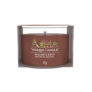 Yankee Candle Votívna sviečka v skle Praline & Birch 37 g