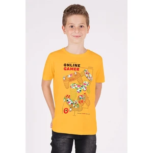 zepkids Boys' Mustard-colored Crewneck Play Arms Printed T-Shirt