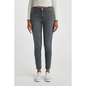 DEFACTO Skinny Fit Jean Pants