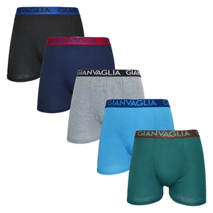 5PACK Men's Boxers Gianvaglia multicolor