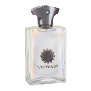 Amouage Portrayal Man - EDP 100 ml