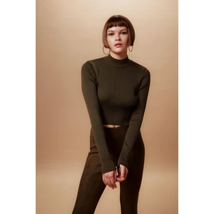 DEFACTO Fitted Half Turtleneck Ribbed Sweater