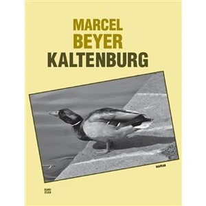 Kaltenburg - Marcel Beyer