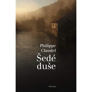 Šedé duše - Philippe Claudel