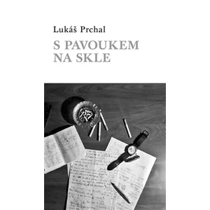 S pavoukem na skle - Lukáš Prchal