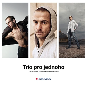 Trio pro jednoho, Kolektiv autorů