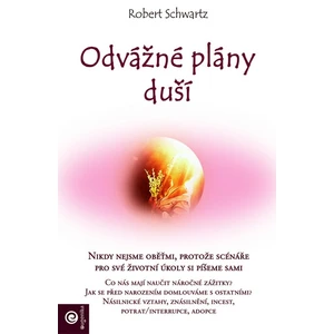 Odvážné plány duší - Robert Schwartz