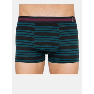 Men&#39;s multicolored boxers Molvy (MP-1020-BEU)