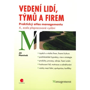 Vedení lidí, týmů a firem