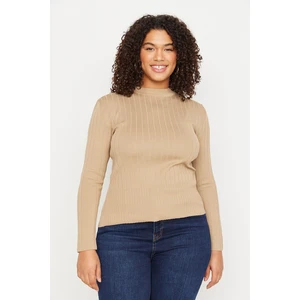 Trendyol Curve Plus Size Sweater - Braun - Regular fit