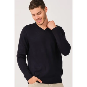 V0036 DEWBERRY MEN'S V-NECK SWEATER-LACİVERT