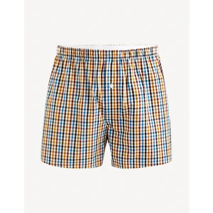 Celio Patterned Shorts Fiwoelcar - Men