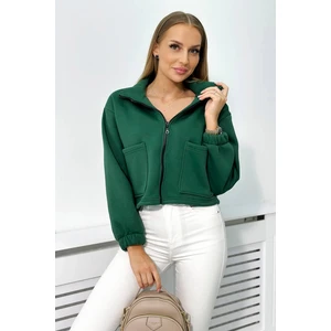 Cotton insulated sweatshirt with green zipper