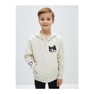 LC Waikiki Printed Long Sleeve Boys' Hoodie