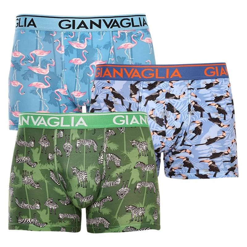 3PACK pánské boxerky Gianvaglia vícebarevné